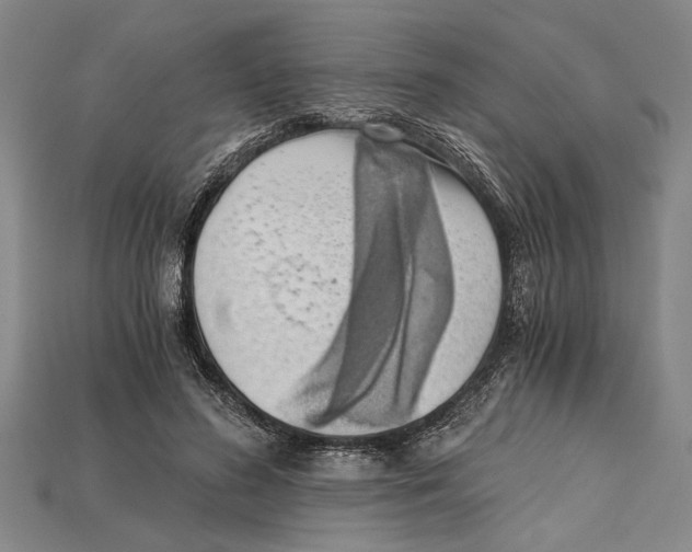 X0000114430596200911131333