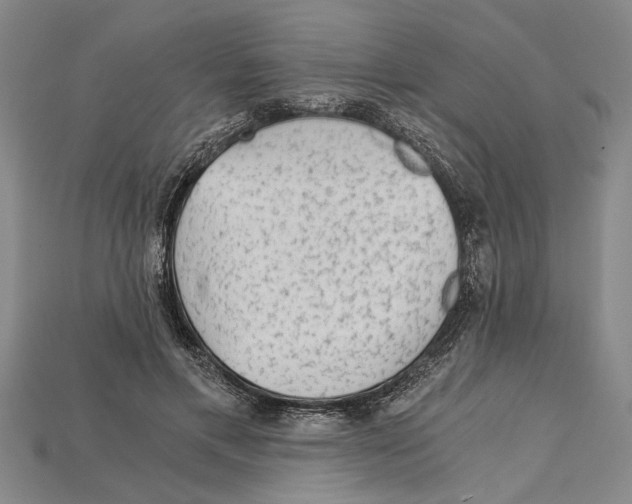 X0000114430597200911131333