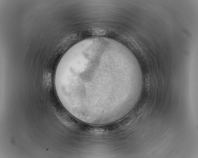 X0000114430598200911131333