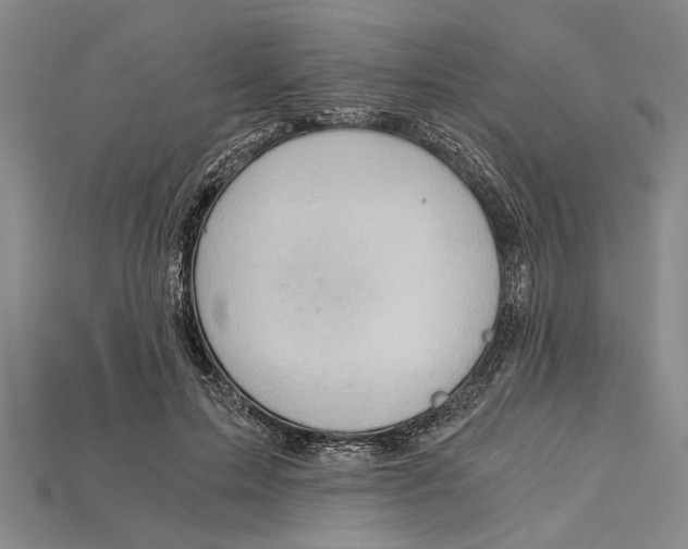 X0000114430599200911131333