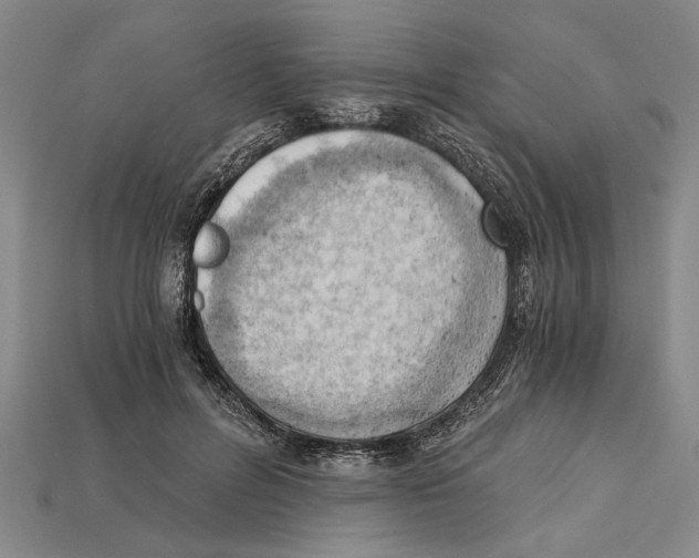 X0000114430600200911131333