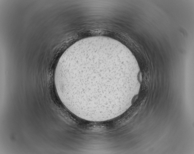 X0000114430601200911131333