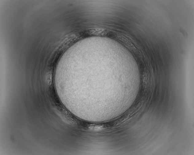 X0000114430602200911131333