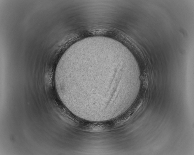 X0000114430604200911131333