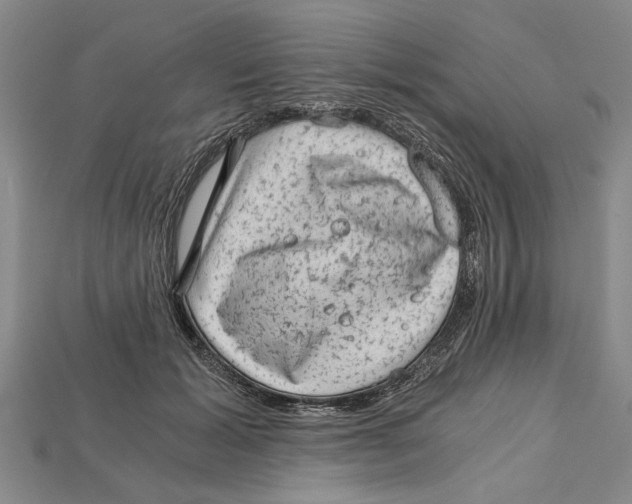 X0000114430605200911131333