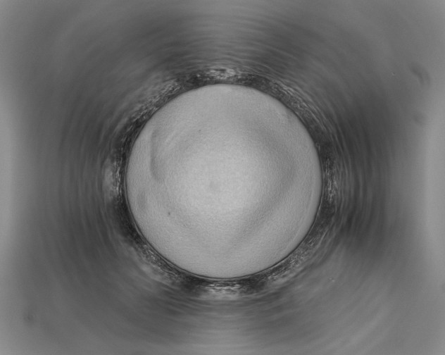 X0000114430606200911131333