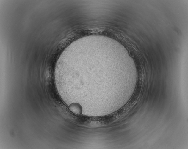 X0000114430608200911131333