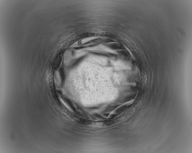 X0000114430609200911131333