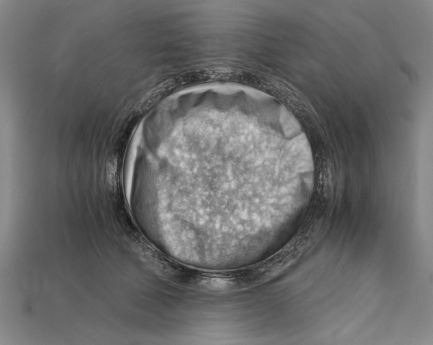 X0000114430610200911131333