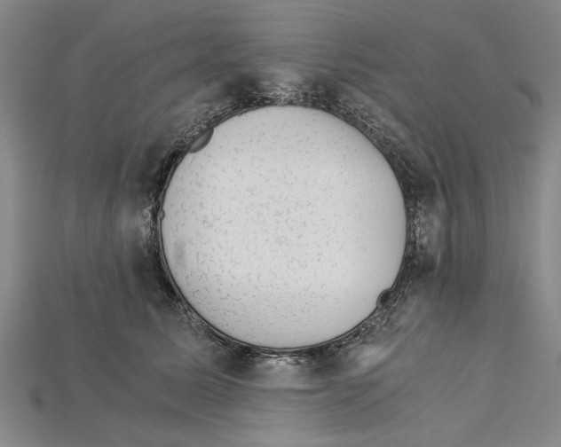 X0000114430611200911131333