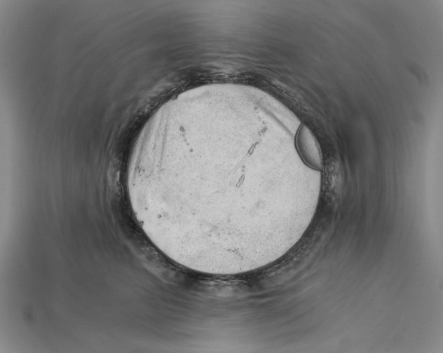 X0000114430615200911131333