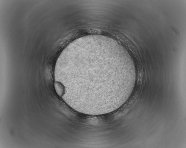 X0000114430616200911131333