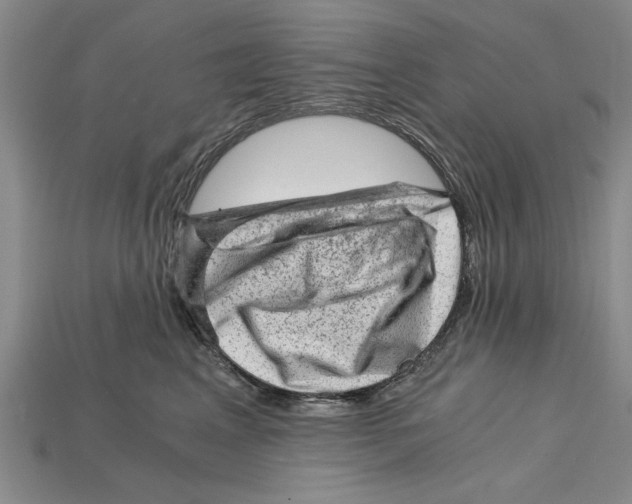 X0000114430617200911131333