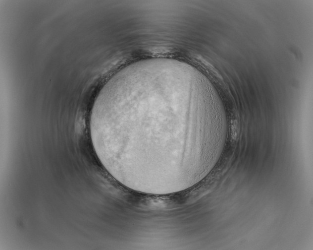 X0000114430618200911131333