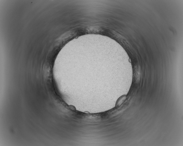 X0000114430619200911131333