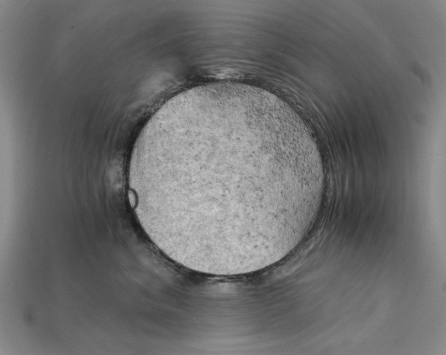 X0000114430620200911131333