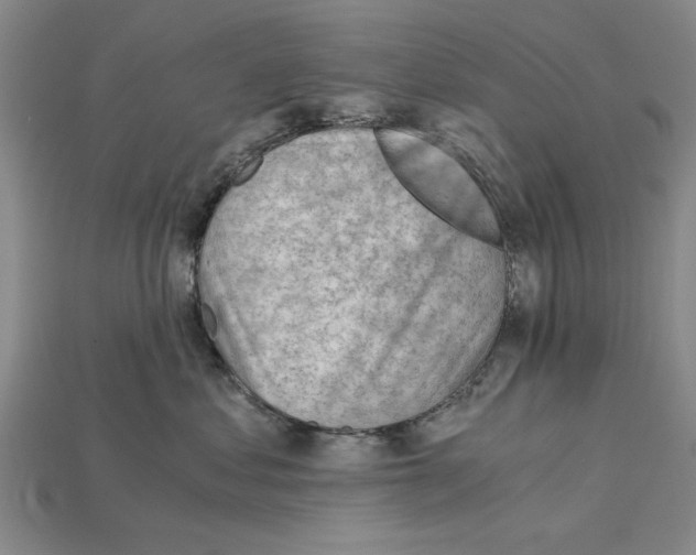 X0000114430621200911131333