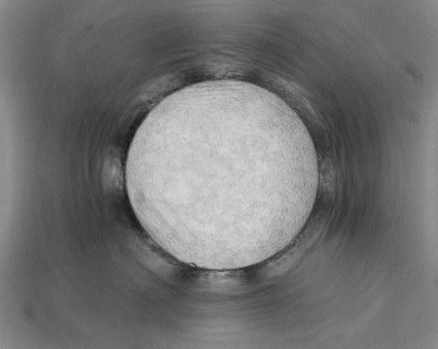 X0000114430622200911131333