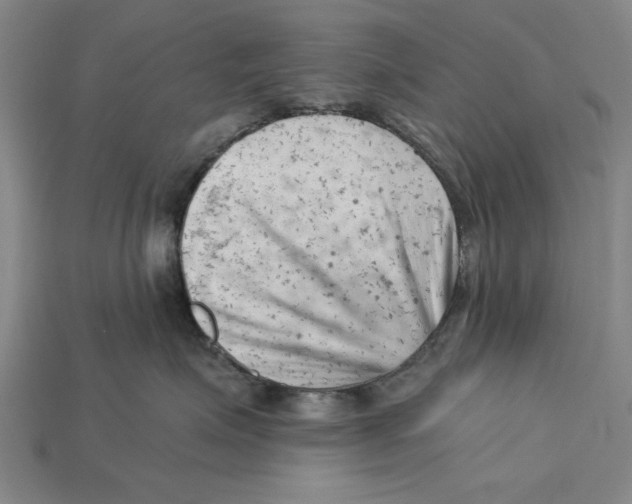 X0000114430623200911131333