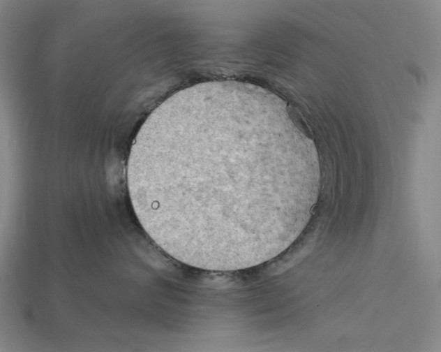 X0000114430624200911131333