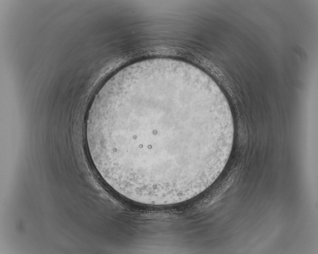 X0000114430625200911131332