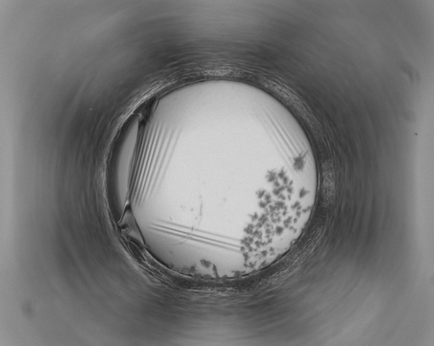 X0000114430626200911131332