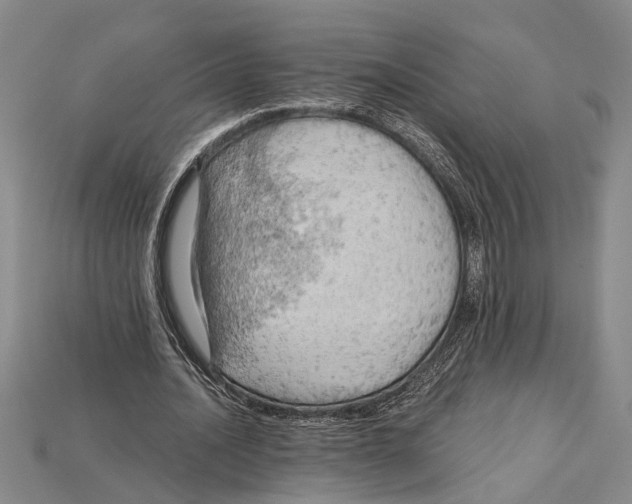 X0000114430628200911131332