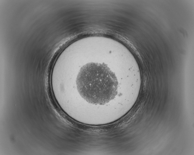 X0000114430629200911131332