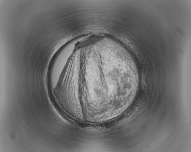 X0000114430630200911131332