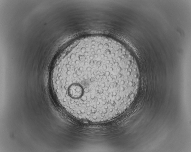 X0000114430631200911131332