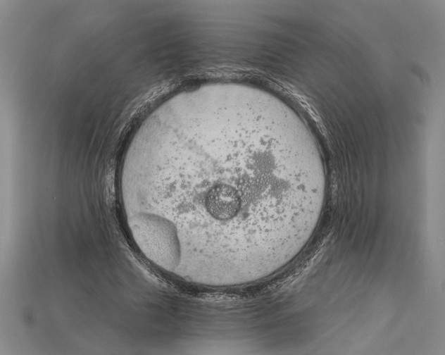 X0000114430633200911131332