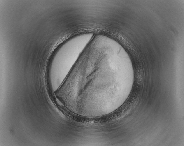 X0000114430634200911131332