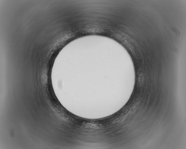 X0000114430635200911131332