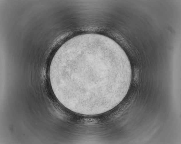 X0000114430636200911131332