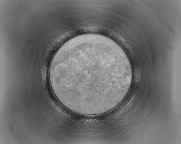 X0000114430637200911131332