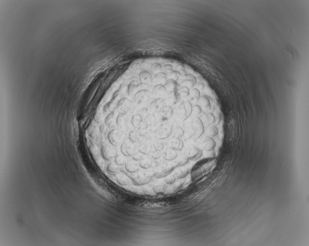 X0000114430638200911131332