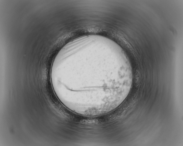 X0000114430639200911131332