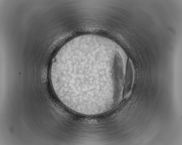 X0000114430640200911131332