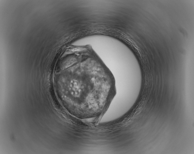 X0000114430641200911131332