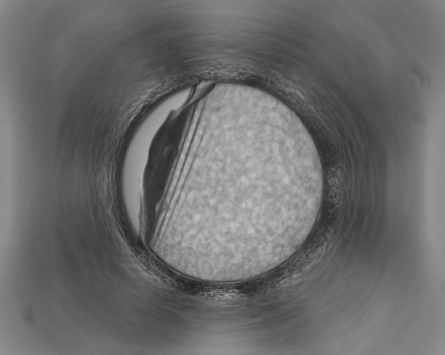 X0000114430642200911131332