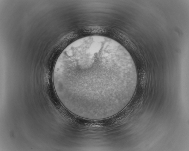 X0000114430643200911131332