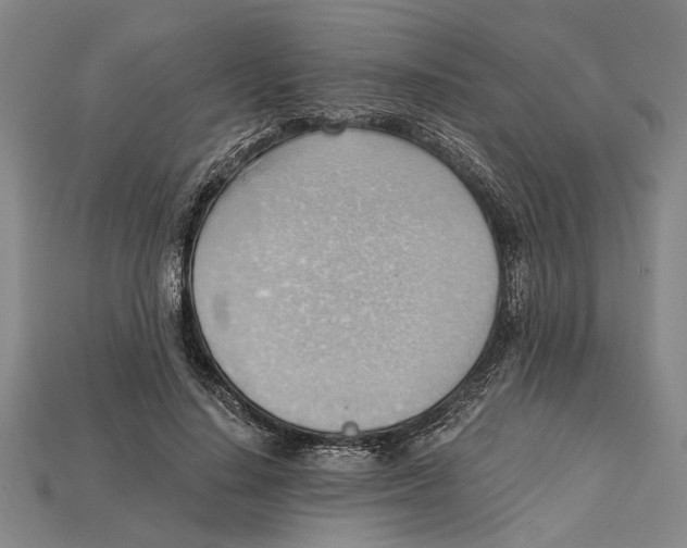 X0000114430644200911131332