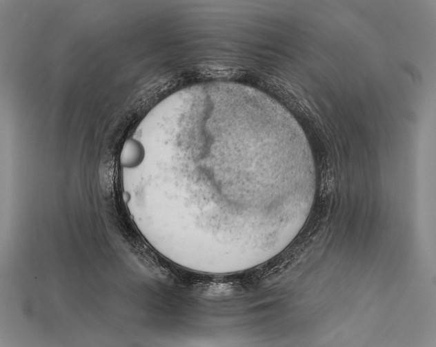 X0000114430647200911131332