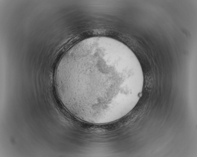 X0000114430648200911131332