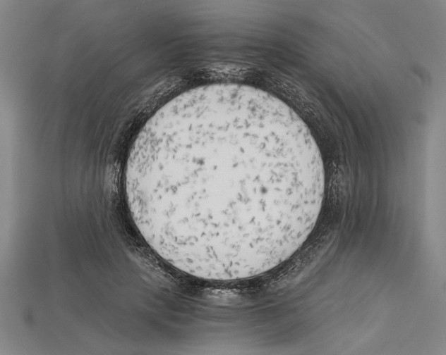 X0000114430649200911131332