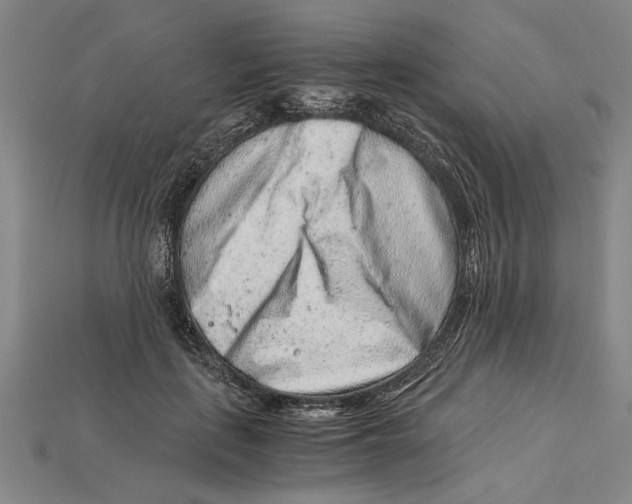 X0000114430651200911131332