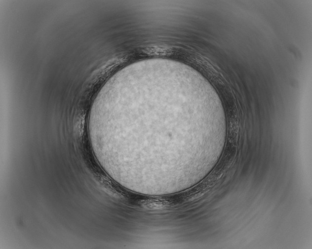 X0000114430652200911131332