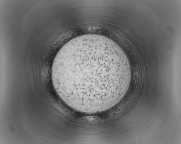 X0000114430654200911131333