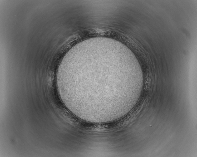 X0000114430656200911131333