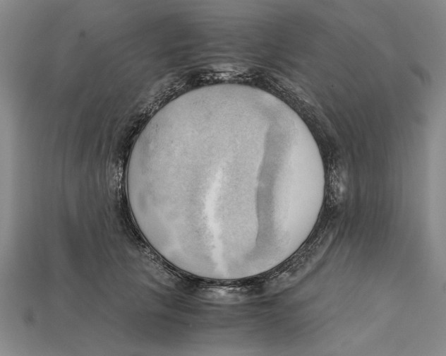 X0000114430657200911131333